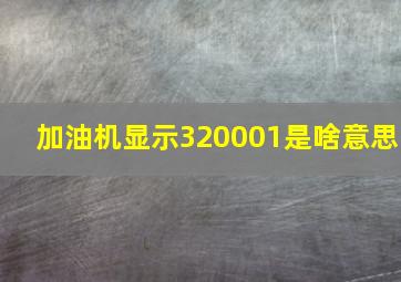 加油机显示320001是啥意思