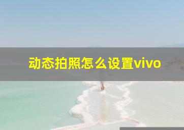 动态拍照怎么设置vivo