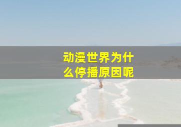 动漫世界为什么停播原因呢