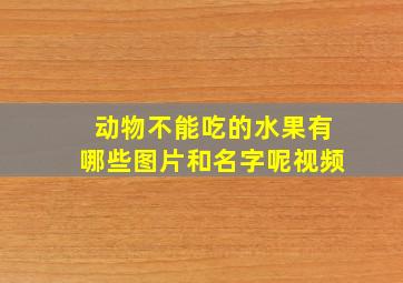 动物不能吃的水果有哪些图片和名字呢视频