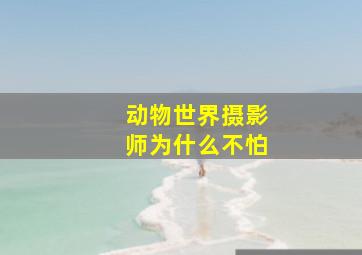 动物世界摄影师为什么不怕