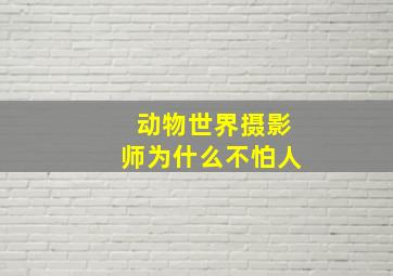 动物世界摄影师为什么不怕人