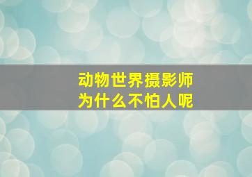 动物世界摄影师为什么不怕人呢