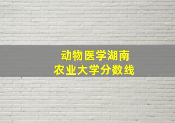 动物医学湖南农业大学分数线