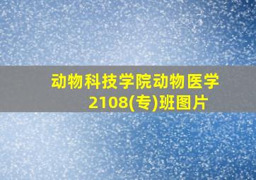 动物科技学院动物医学2108(专)班图片