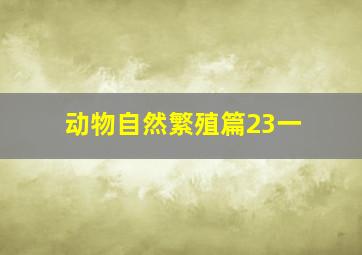 动物自然繁殖篇23一