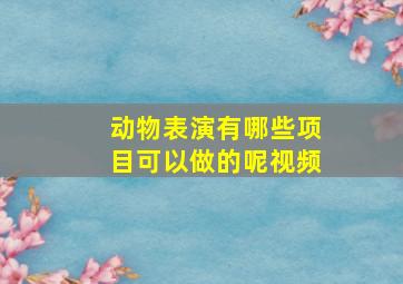 动物表演有哪些项目可以做的呢视频