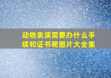 动物表演需要办什么手续和证书呢图片大全集