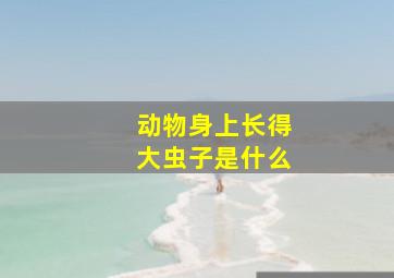 动物身上长得大虫子是什么