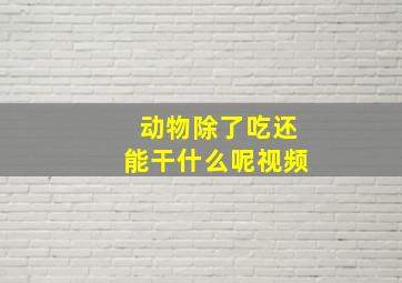 动物除了吃还能干什么呢视频