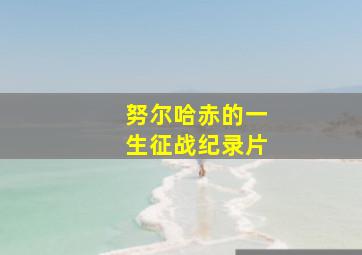 努尔哈赤的一生征战纪录片