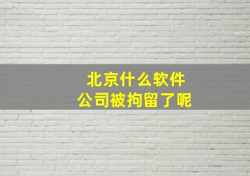 北京什么软件公司被拘留了呢