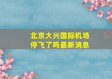 北京大兴国际机场停飞了吗最新消息