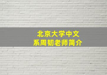 北京大学中文系周韧老师简介