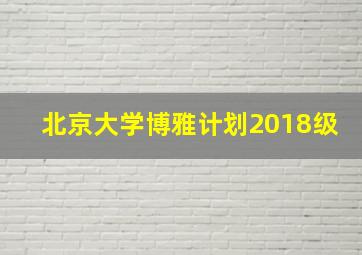 北京大学博雅计划2018级