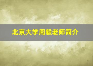 北京大学周毅老师简介