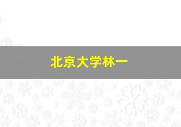 北京大学林一