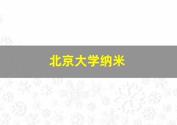 北京大学纳米