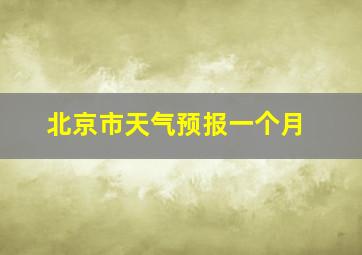 北京市天气预报一个月