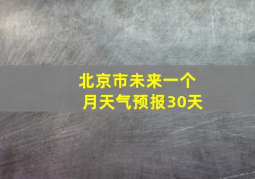 北京市未来一个月天气预报30天