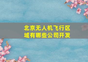 北京无人机飞行区域有哪些公司开发