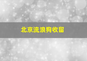 北京流浪狗收留