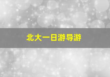 北大一日游导游