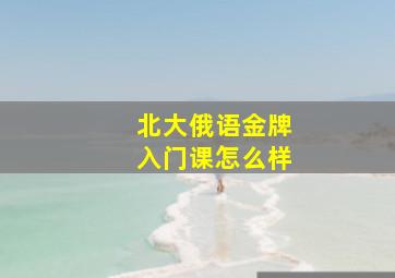 北大俄语金牌入门课怎么样