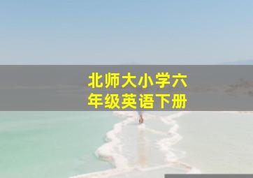 北师大小学六年级英语下册