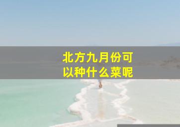 北方九月份可以种什么菜呢