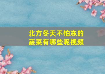 北方冬天不怕冻的蔬菜有哪些呢视频