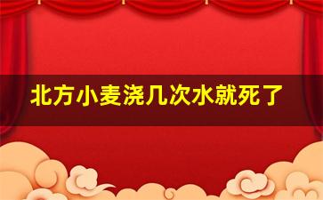 北方小麦浇几次水就死了