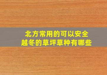 北方常用的可以安全越冬的草坪草种有哪些