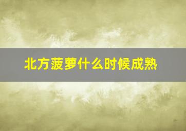 北方菠萝什么时候成熟