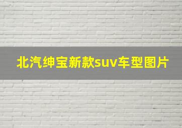 北汽绅宝新款suv车型图片