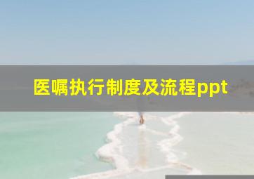 医嘱执行制度及流程ppt