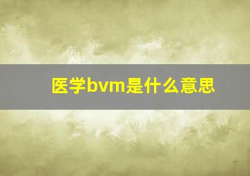 医学bvm是什么意思