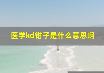 医学kd钳子是什么意思啊