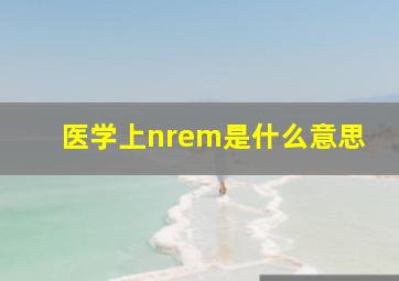 医学上nrem是什么意思