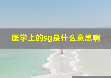 医学上的sg是什么意思啊