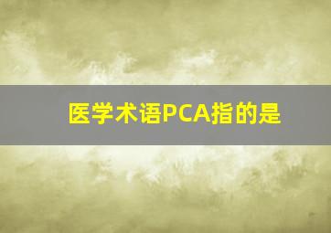 医学术语PCA指的是