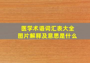 医学术语词汇表大全图片解释及意思是什么