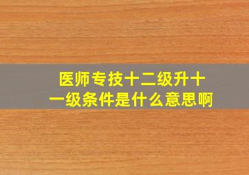 医师专技十二级升十一级条件是什么意思啊