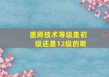 医师技术等级是初级还是12级的呢