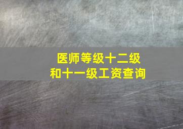 医师等级十二级和十一级工资查询