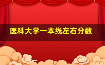 医科大学一本线左右分数