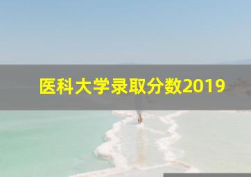 医科大学录取分数2019