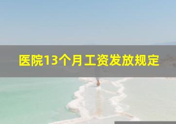 医院13个月工资发放规定