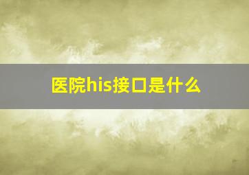 医院his接口是什么