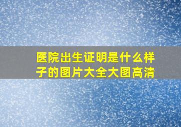 医院出生证明是什么样子的图片大全大图高清